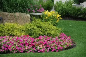 Toronto Landscaper Toronto Landscaper